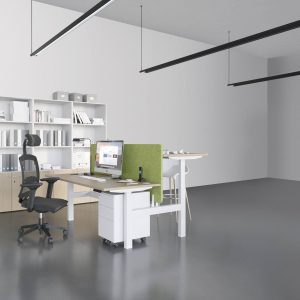 Envol Evo Height Adjustable Multi-Workstation