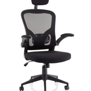 Ace Executive Mesh Chair With Folding Arms