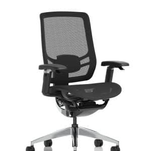 Ergo Click High Back Ergonomic Posture Office Chair with Arms