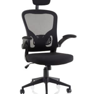 Ace Executive Mesh Chair With Folding Arms